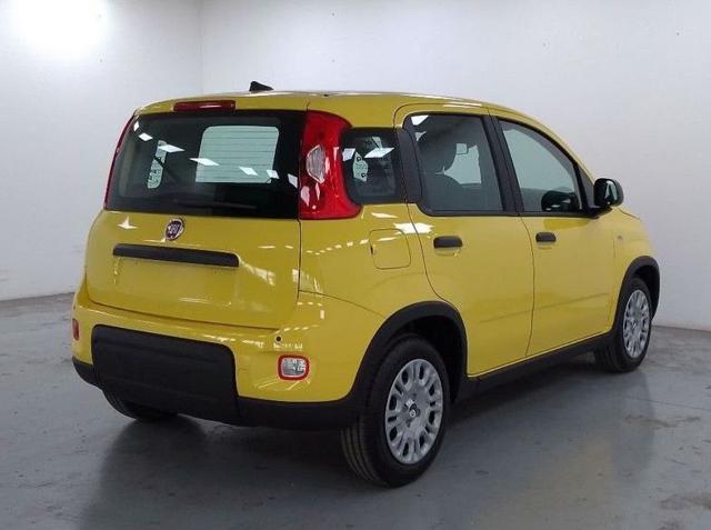 FIAT Panda 1.0 FireFly S&S Hybrid Pandina PREZZO REALE