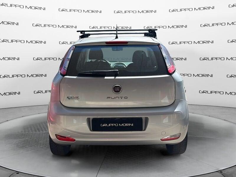 FIAT Punto 1.4 Natural Power Lounge 70cv