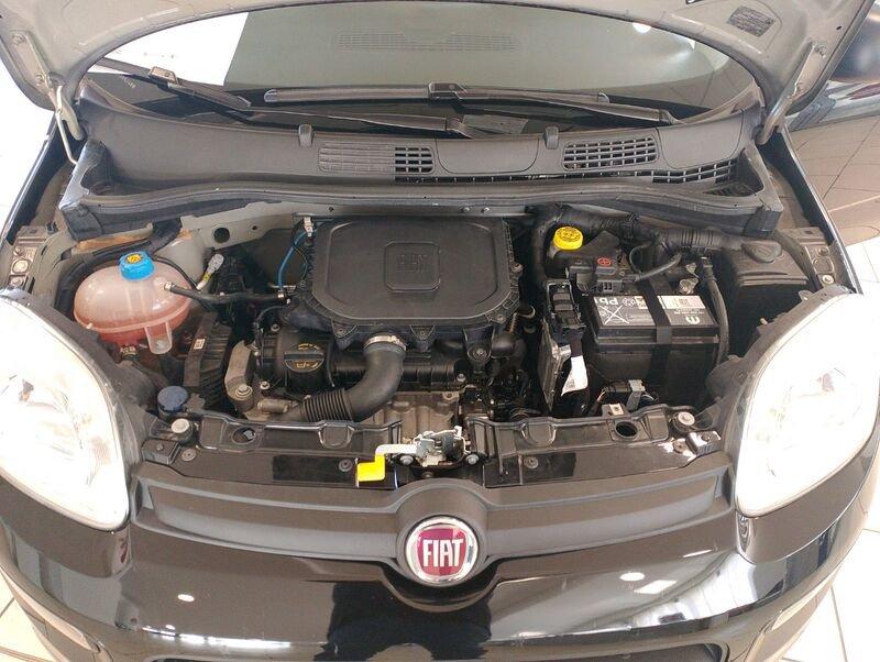 FIAT Panda 3ª serie 1.0 FireFly S&S Hybrid