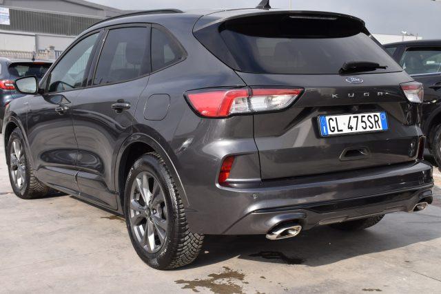 FORD Kuga 1.5 EcoBlue 120 CV 2WD ST-Line