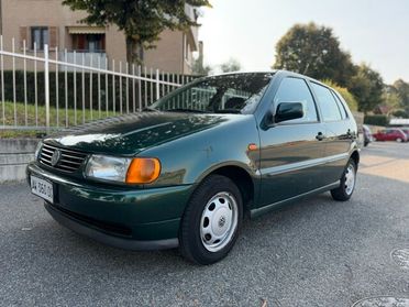 Volkswagen Polo 1.4 cat 5 porte Comfort
