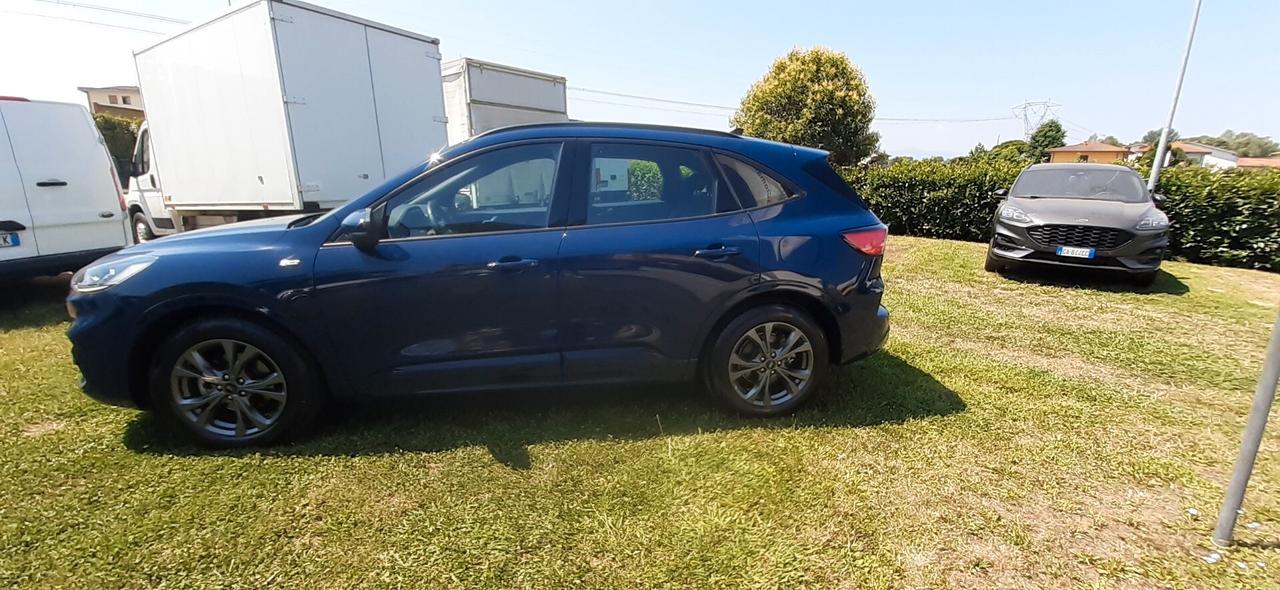 Ford Kuga 1.5 EcoBlue 120 CV aut. 2WD ST-Line