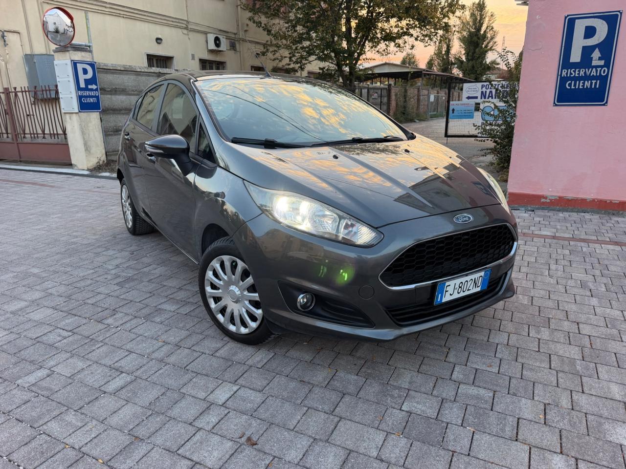 Ford Fiesta 1.4 5 porte Bz.- GPL Black & White Edition