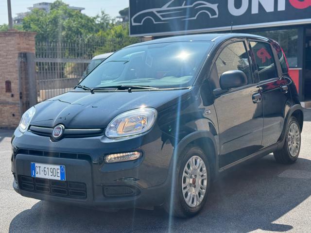 FIAT Panda 1.0 FireFly S&S Hybrid ( NESSUN VINCOLO)