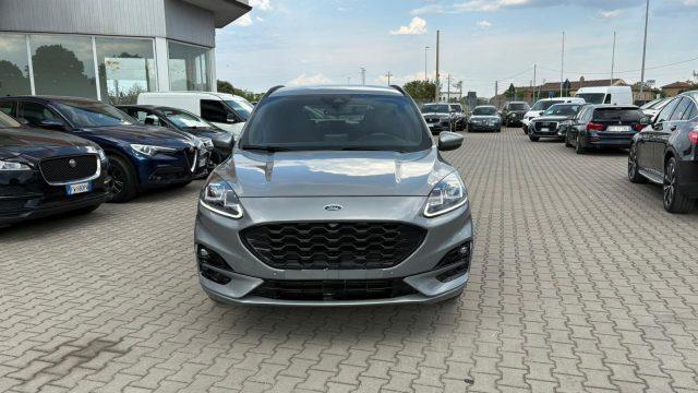 FORD Kuga 1.5 EcoBlue 120 CV aut. 2WD ST-Line IVA ESPOSTA