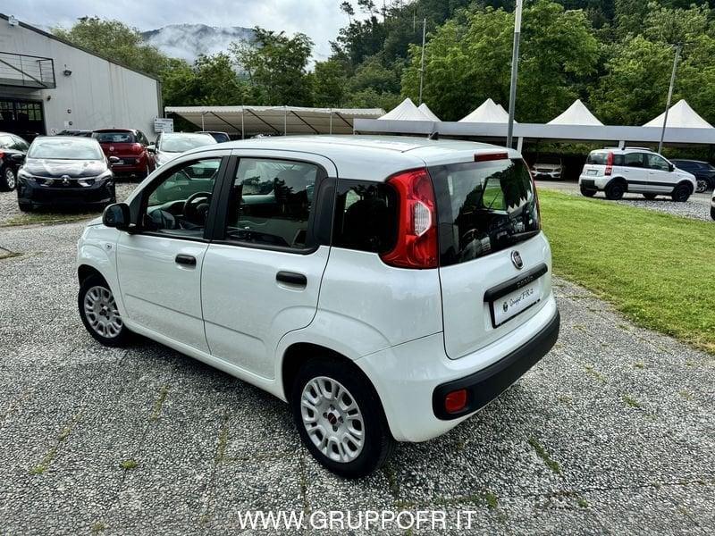 FIAT Panda Panda 1.2 Easy Van 4 posti NETTO IVA