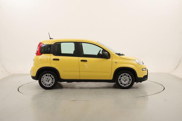 Fiat Panda Hybrid Pandina Pop BR057350 1.0 Mild Hybrid 70CV