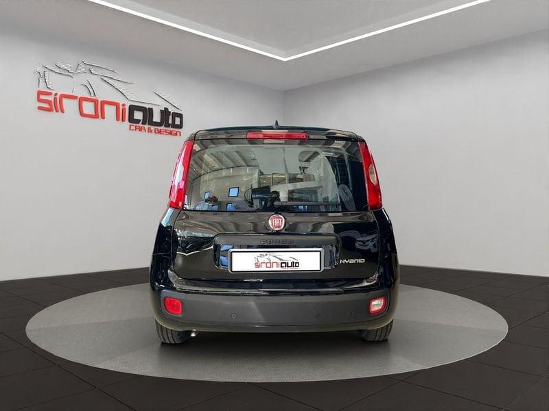 FIAT Pandina 1.0 firefly hybrid Icon s&s 70cv 5p.ti - PROMO SIRONIAUTO+