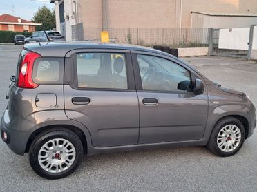 Fiat Panda 1.0 FireFly S&S Hybrid Easy Elettrica Benzina