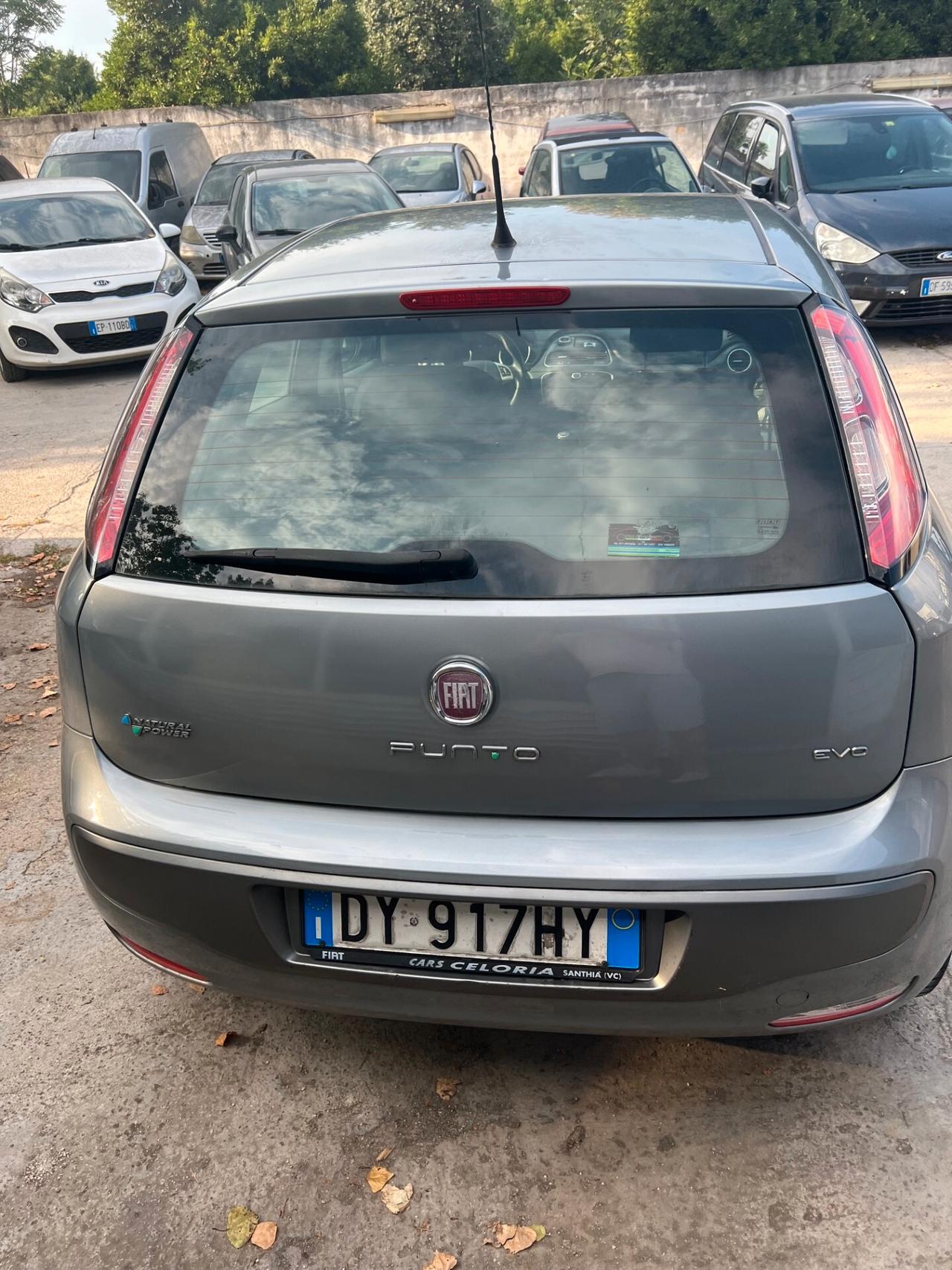 Fiat Punto Evo Punto Evo 1.4 5 porte Emotion Natural Power