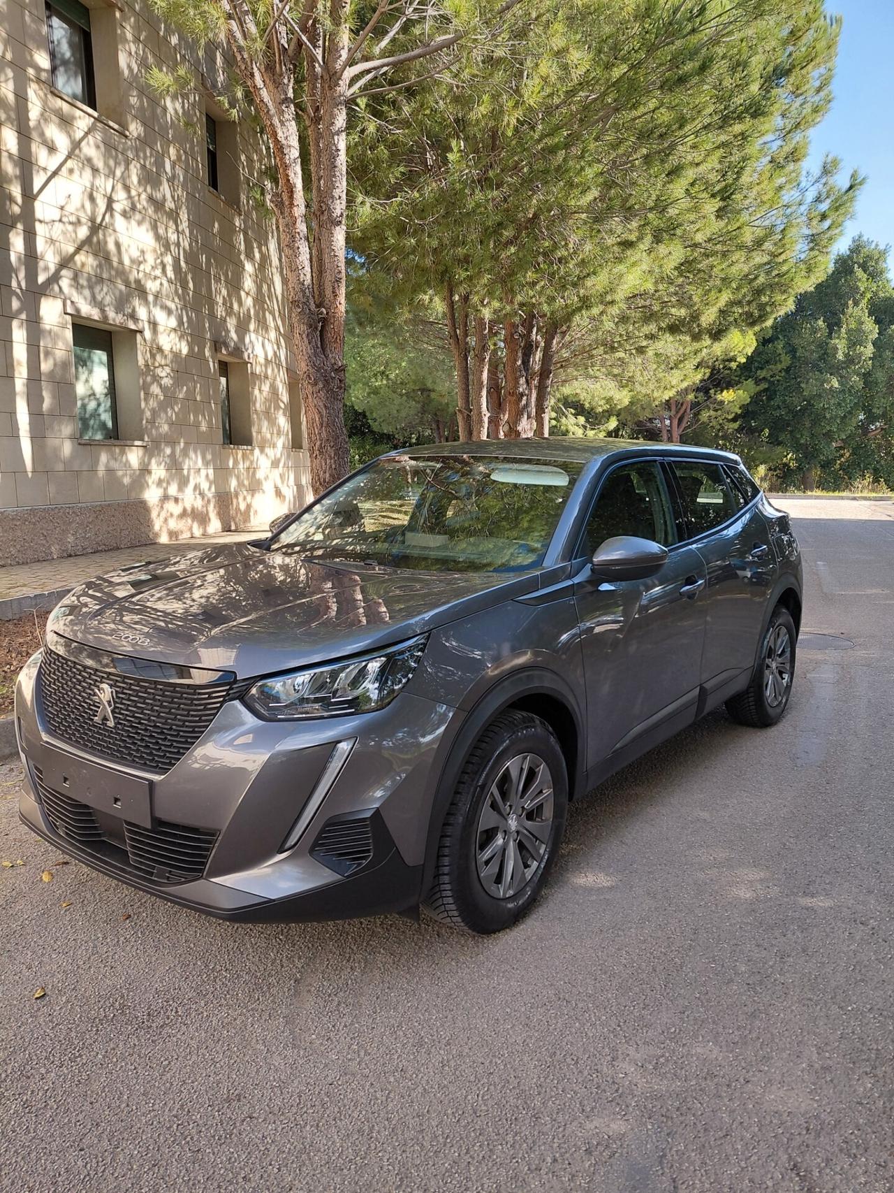 Peugeot 2008 BlueHDi 110 S&S Active Pack