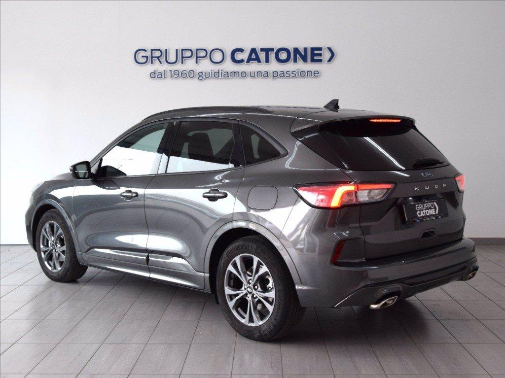 FORD Kuga 1.5 ecoblue ST-Line 2wd 120cv auto del 2023