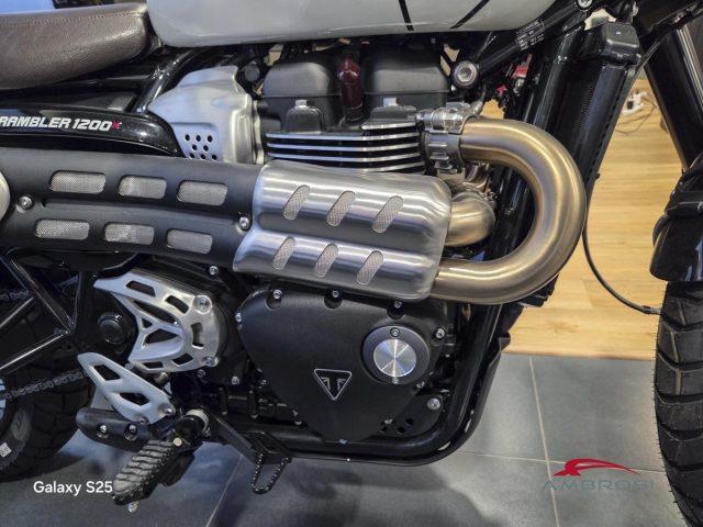 TRIUMPH Scrambler 1200 (MY 24)