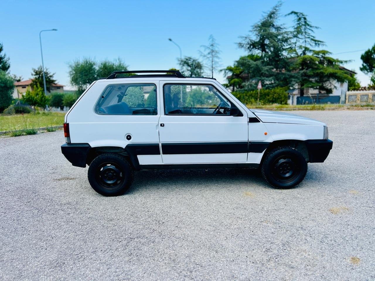 Fiat Panda 4x4 benzina e metano