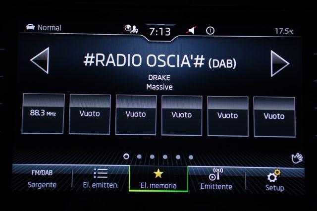 SKODA Kodiaq 2.0 TDI EVO SCR 4x4 DSG 7 posti EXECUITIVE