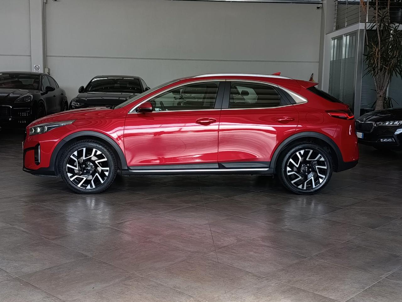 Kia Xceed 1.6 crdi mhev Business 136cv dct