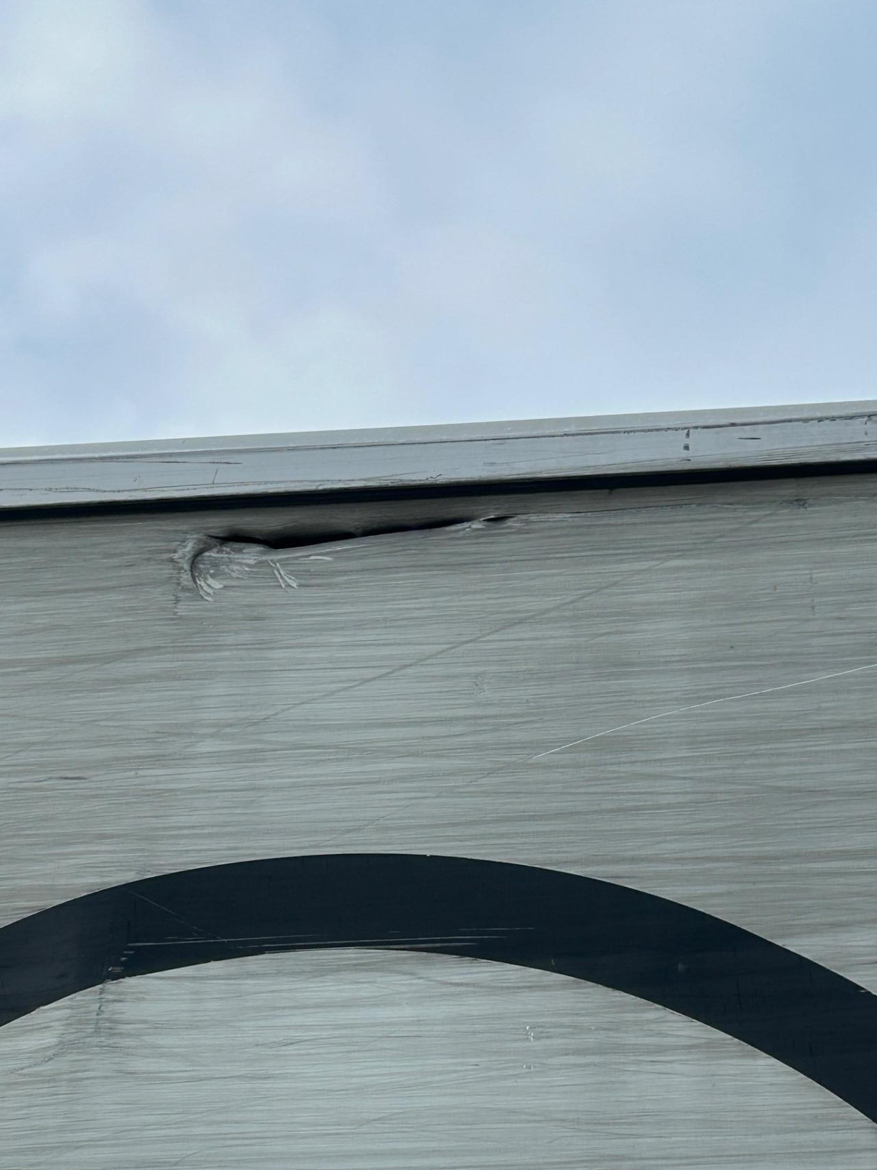 920 CASSONATO peugeot del 2020 in saldo