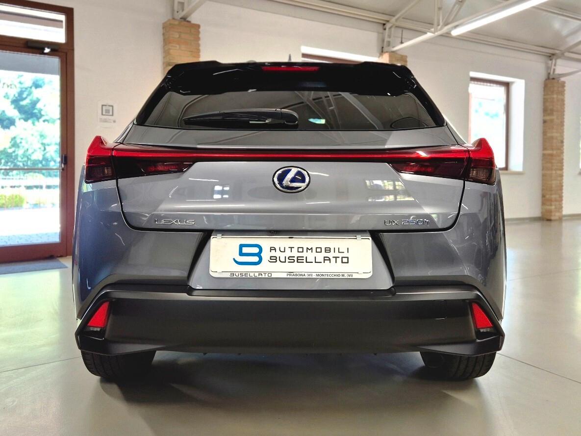 Lexus UX Hybrid 4WD Business