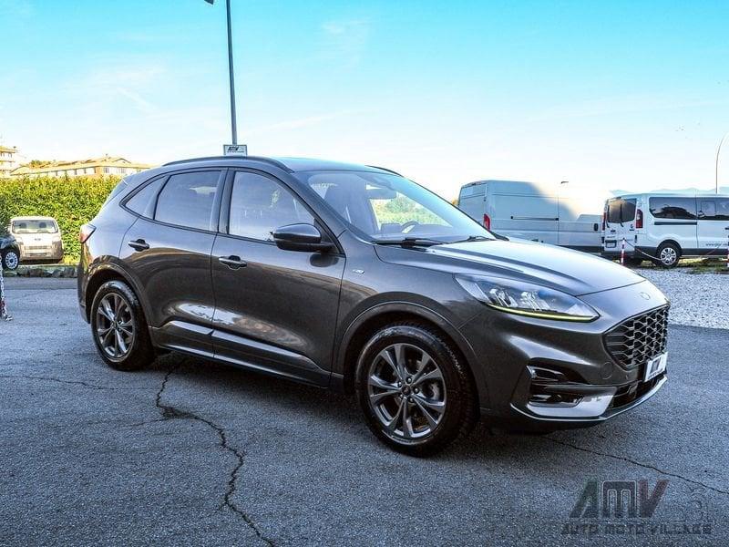 Ford Kuga 1.5 EcoBlue 120 CV 2WD ST-Line