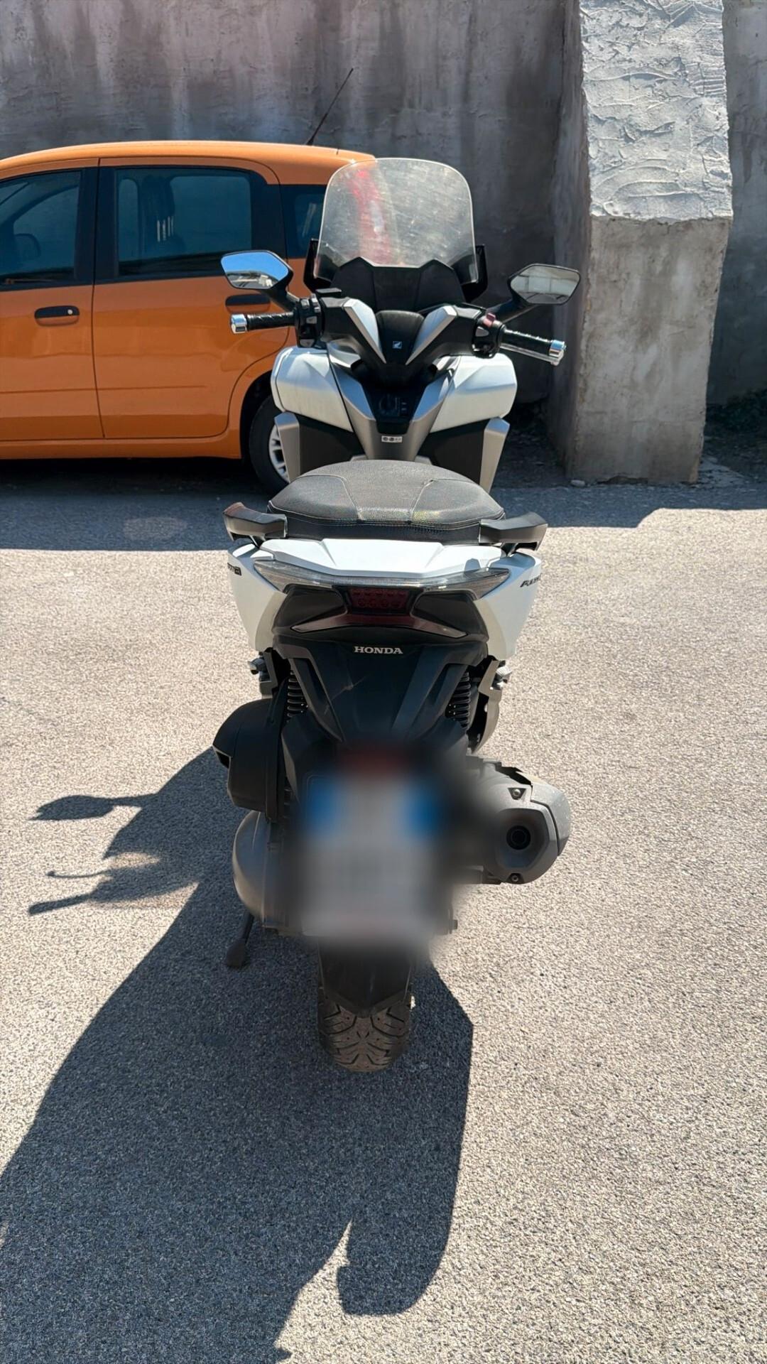 Honda Forza 300 del 2019 USATO