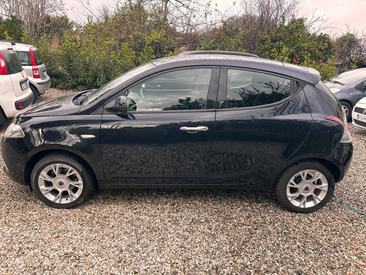 Lancia Ypsilon 1.2 69 CV 5 porte Platinum