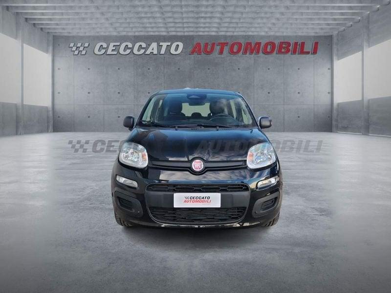 FIAT Panda Panda 1.0 70cv Hybrid Icon