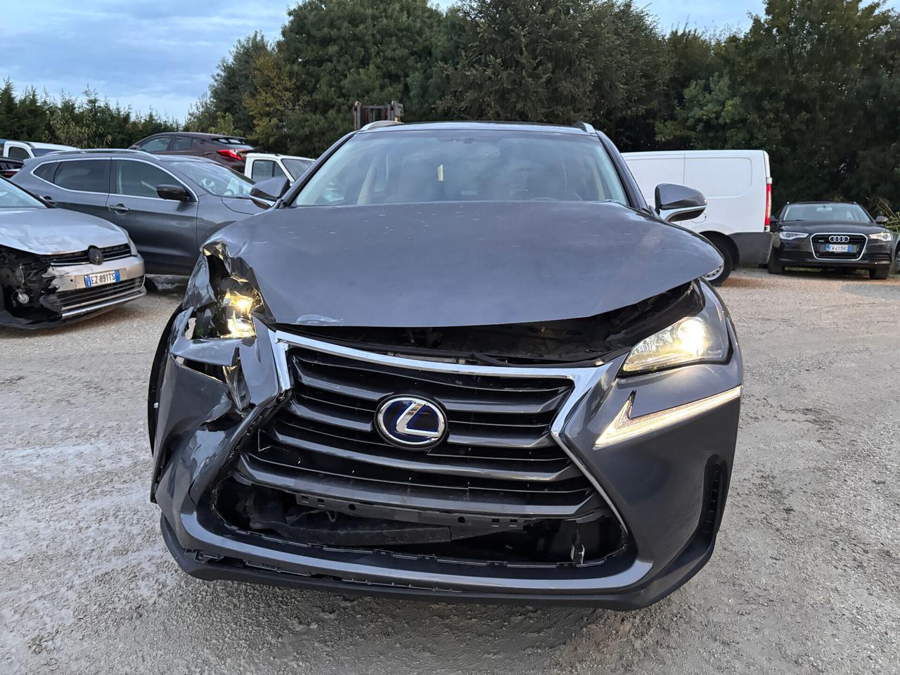 Lexus NX 300h Hybrid 4WD Luxury