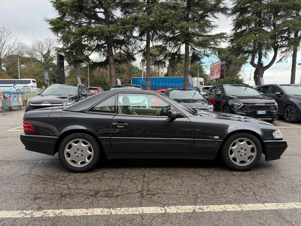 Mercedes-benz SL 300 SL-24 cat
