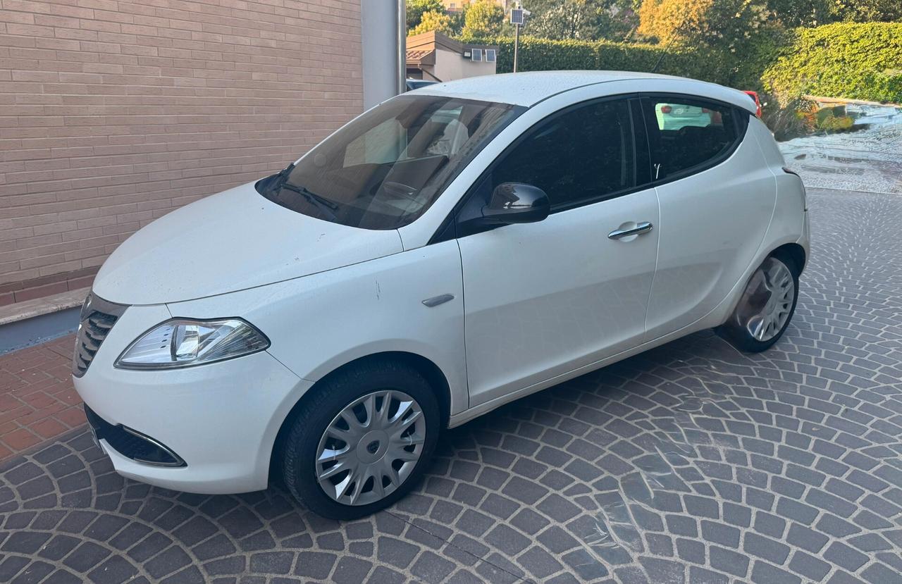 Lancia Ypsilon 1.3 MJT 16V 95 CV 5 porte S&S Gold