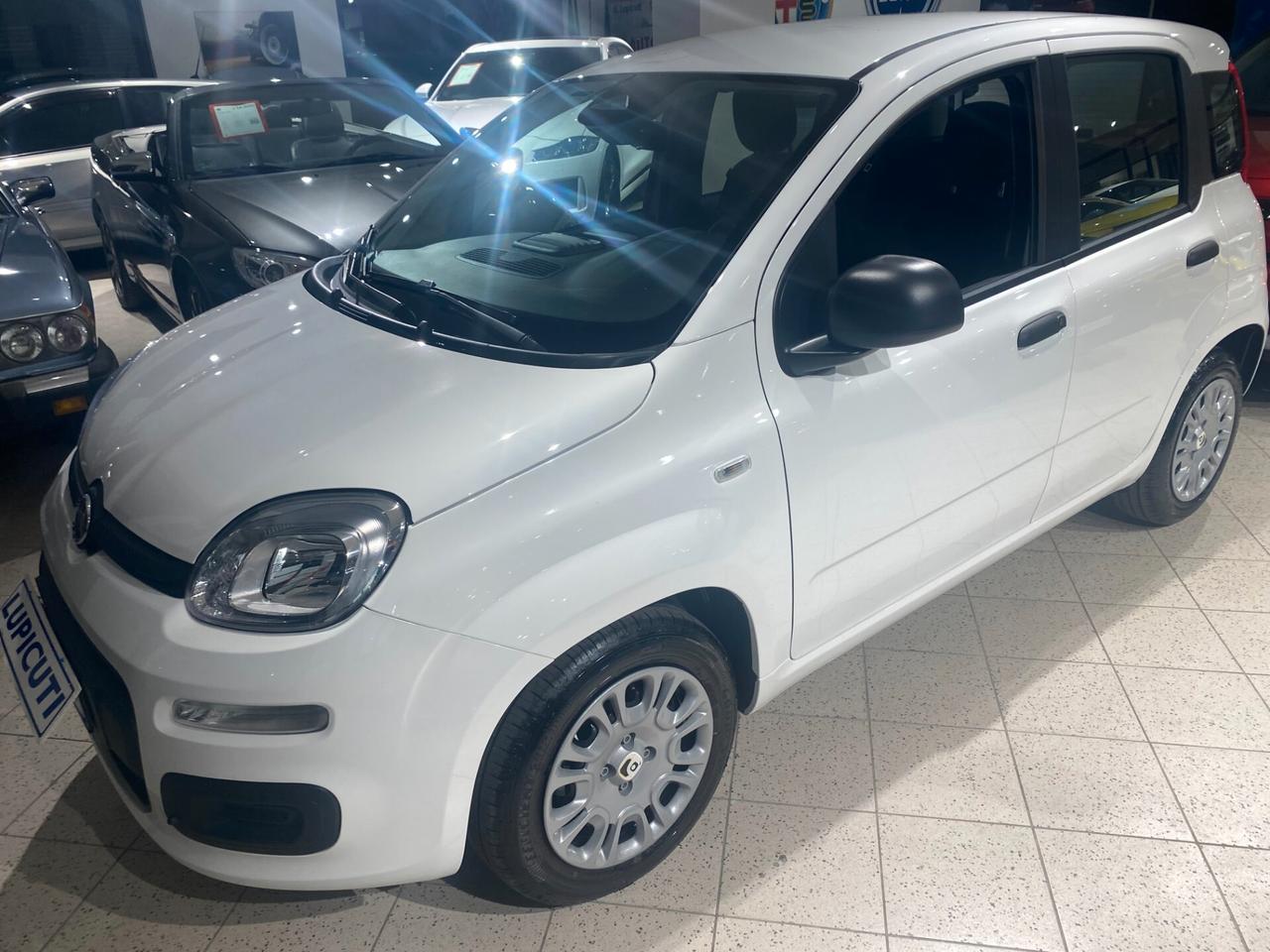 Fiat Panda 1.0 FireFly S&S Hybrid Icon