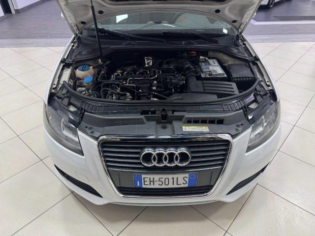 AUDI A3 Cabrio 1.6 TDI 105 CV CR Ambition