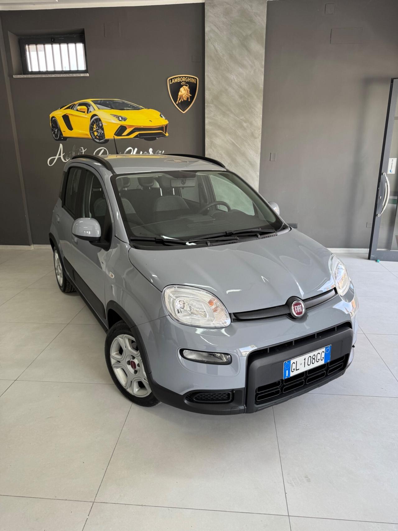 Fiat Panda 1.0 FireFly S&S Hybrid Red