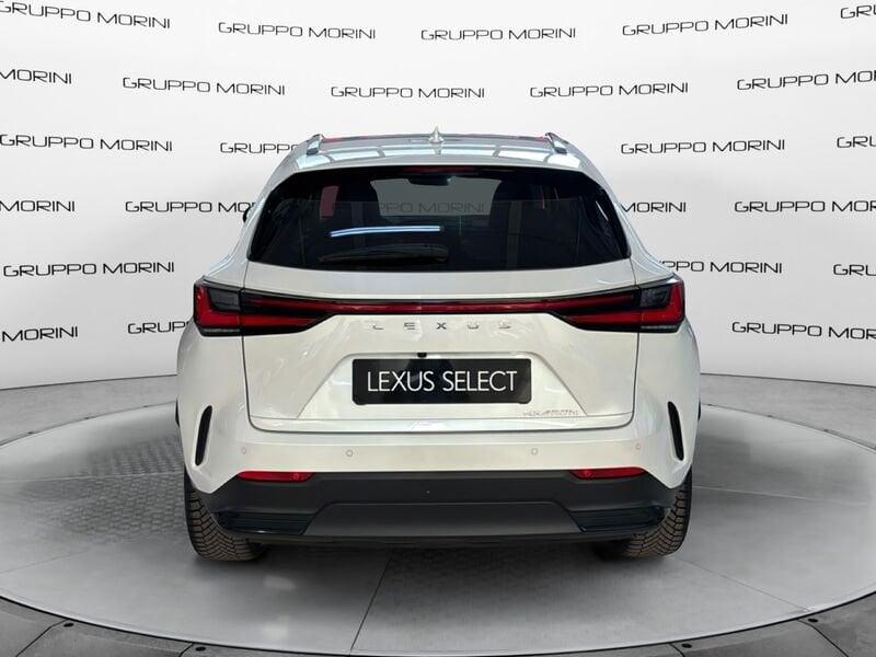 Lexus NX Plug-in Premium+ AWD