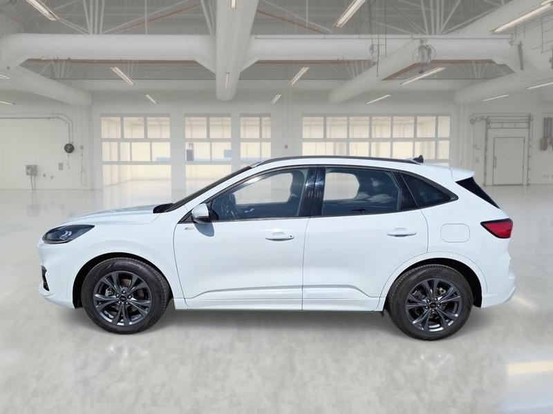 FORD KUGA 2.0 ECOBLUE 120 CV 2WD ST-LINE AUTO SUV