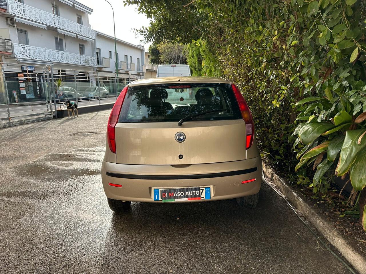 Fiat Punto Classic 1.2 5 porte Natural Power Active