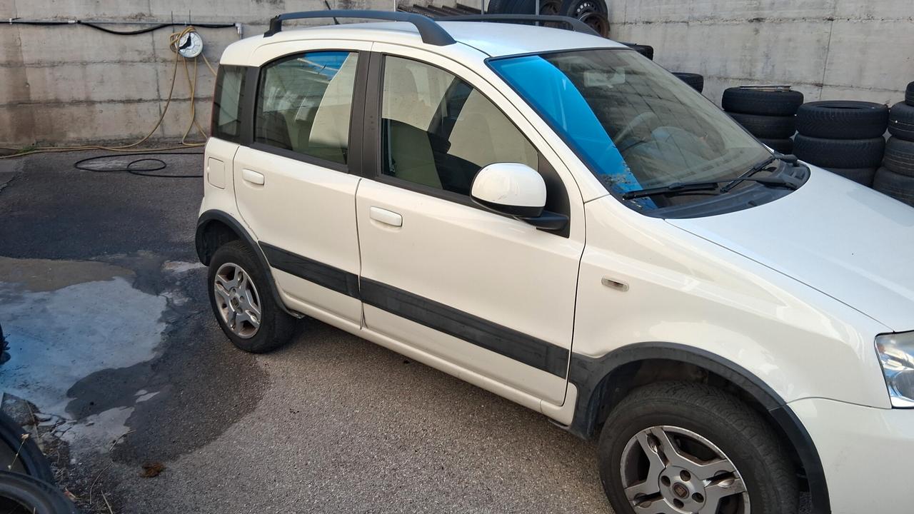 Fiat Panda 1.3 MJT 16V DPF 4x4 Climbing