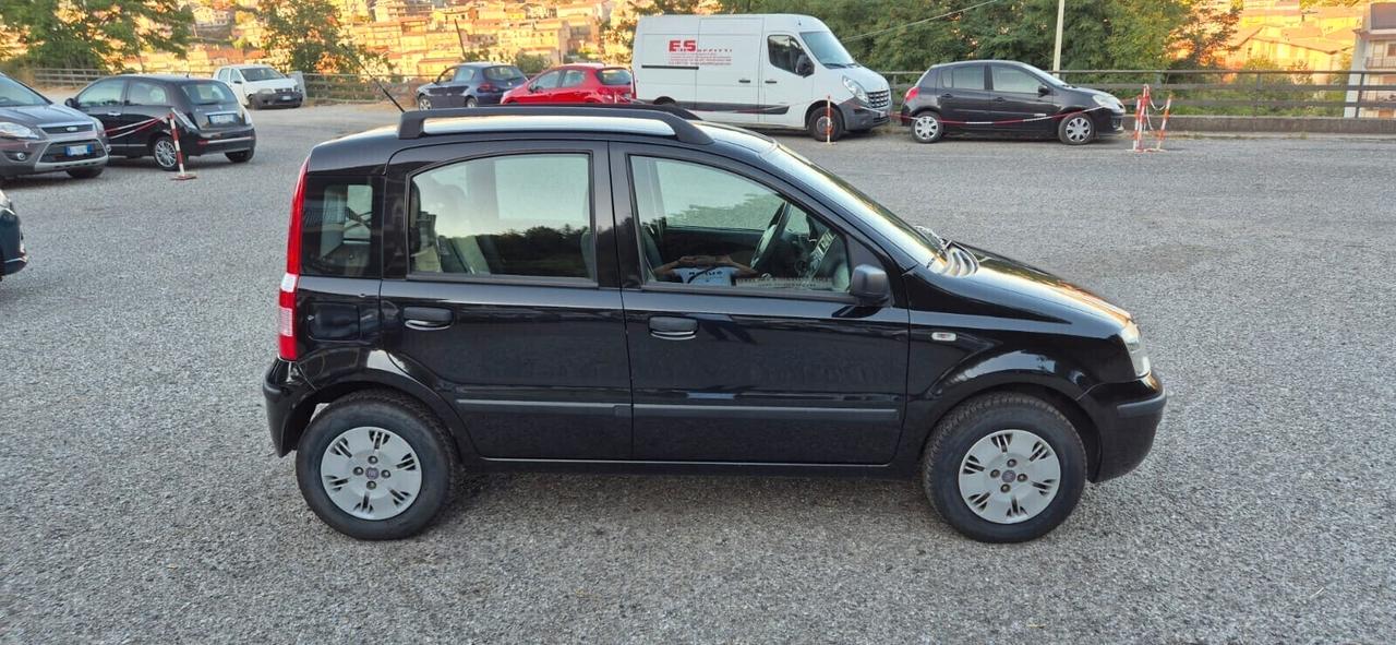 Fiat Panda 1.2 Dynamic - Bellissima