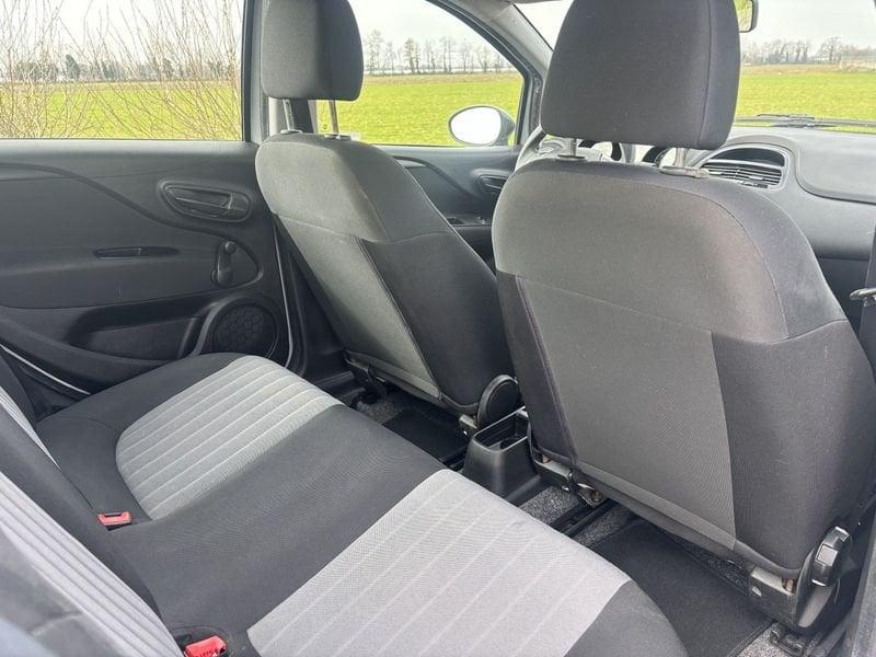 FIAT Punto NEOP. CINGHIA NUOVA 1.2 Benzina 69cv