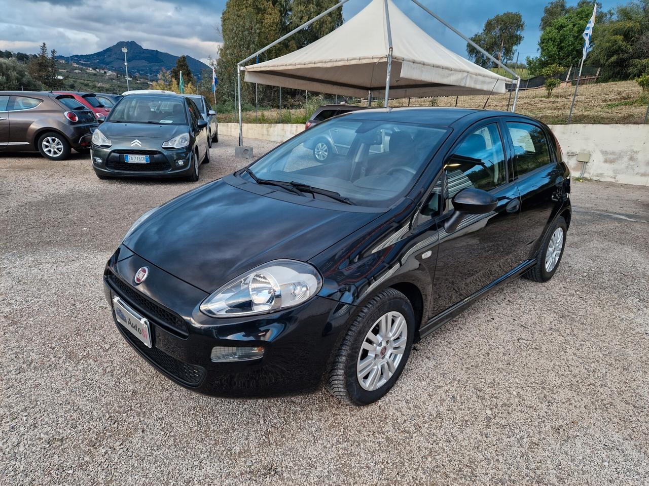 Fiat Punto 1.3 MJT II S&S 85 CV 5 porte ECO Young