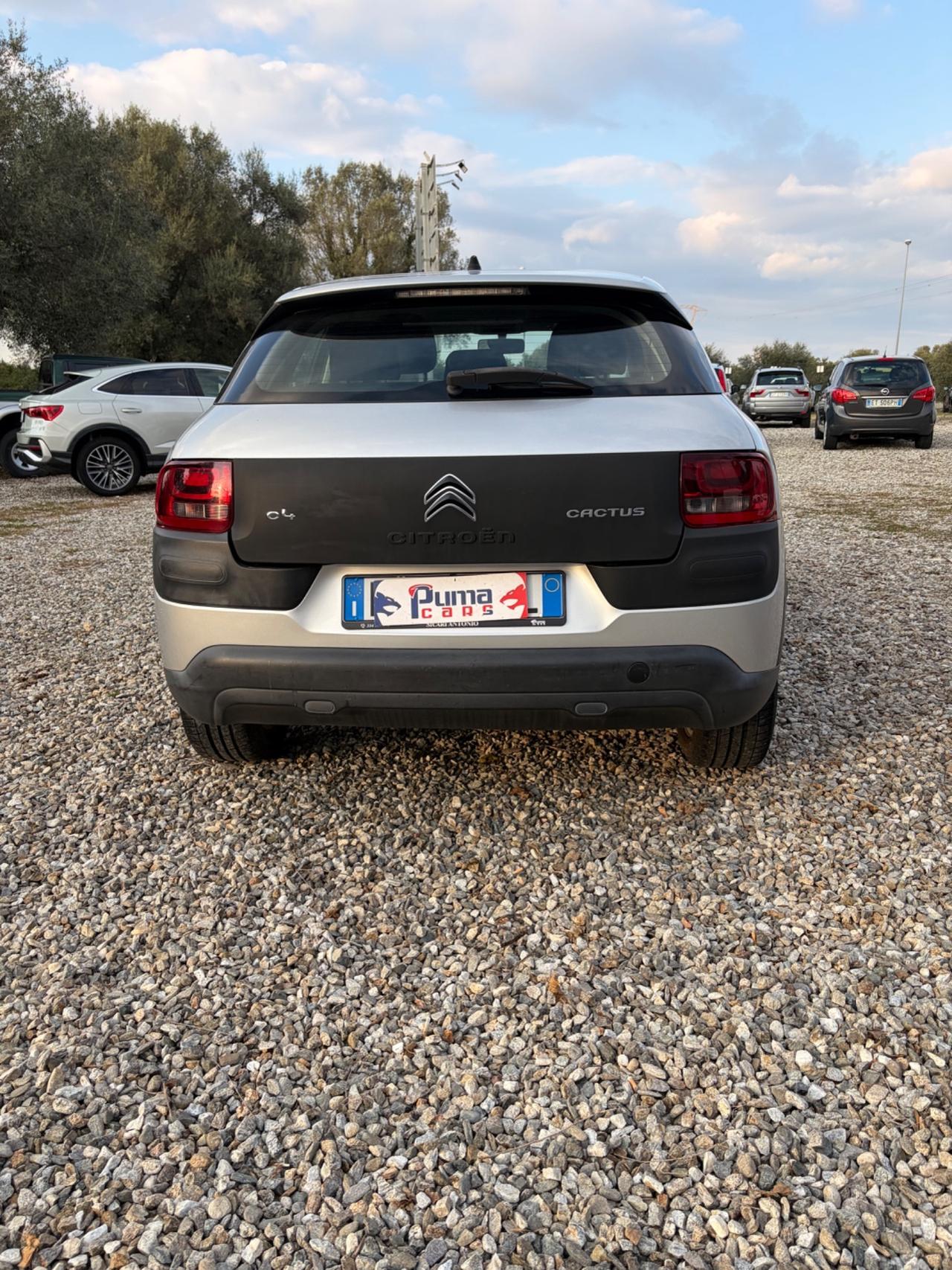 Citroen C4 Cactus BlueHDi 100 Shine