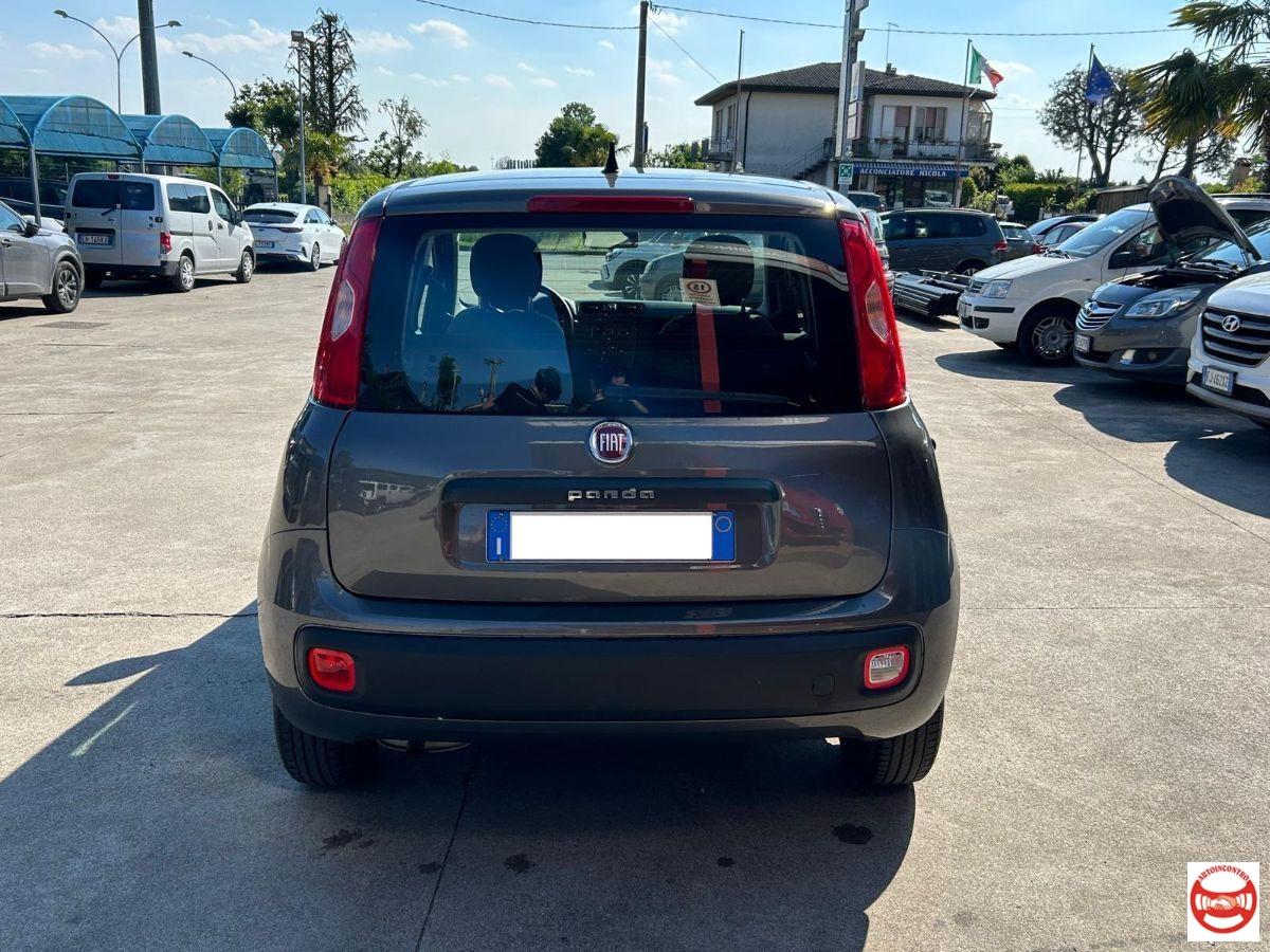 FIAT - Panda 1.2 Easy easypower Gpl 69cv my19