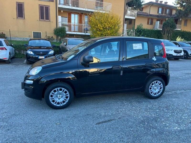 FIAT Panda Panda 1.0 FireFly S&S Hybrid Icon