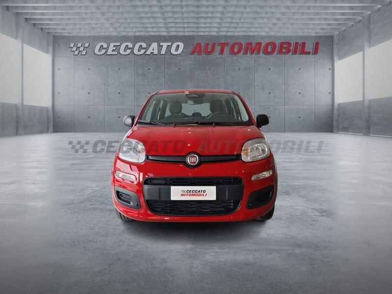 FIAT Panda Panda 1.0 firefly hybrid s&s 70cv