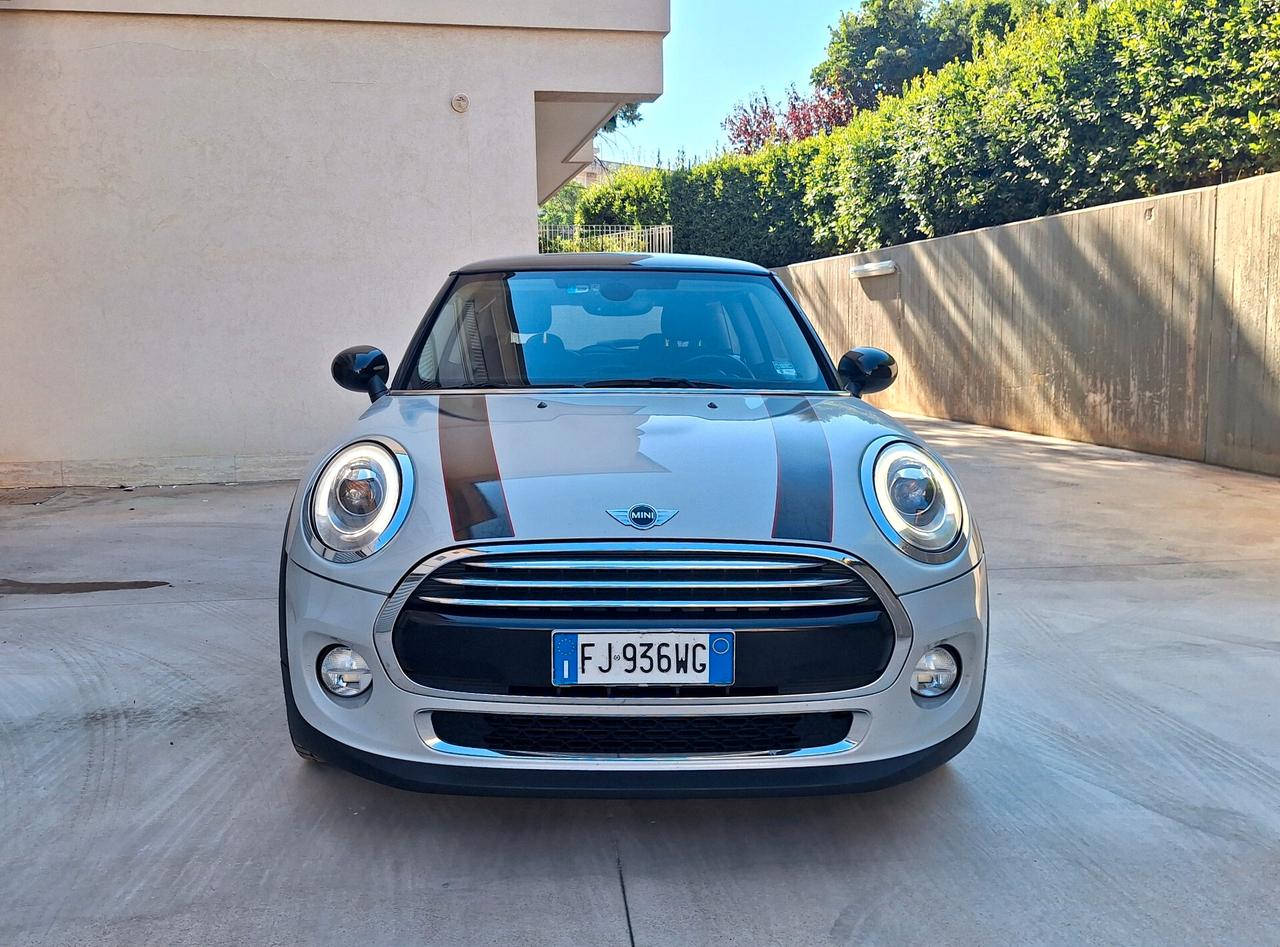 Mini Mini 1.5 One D Hype