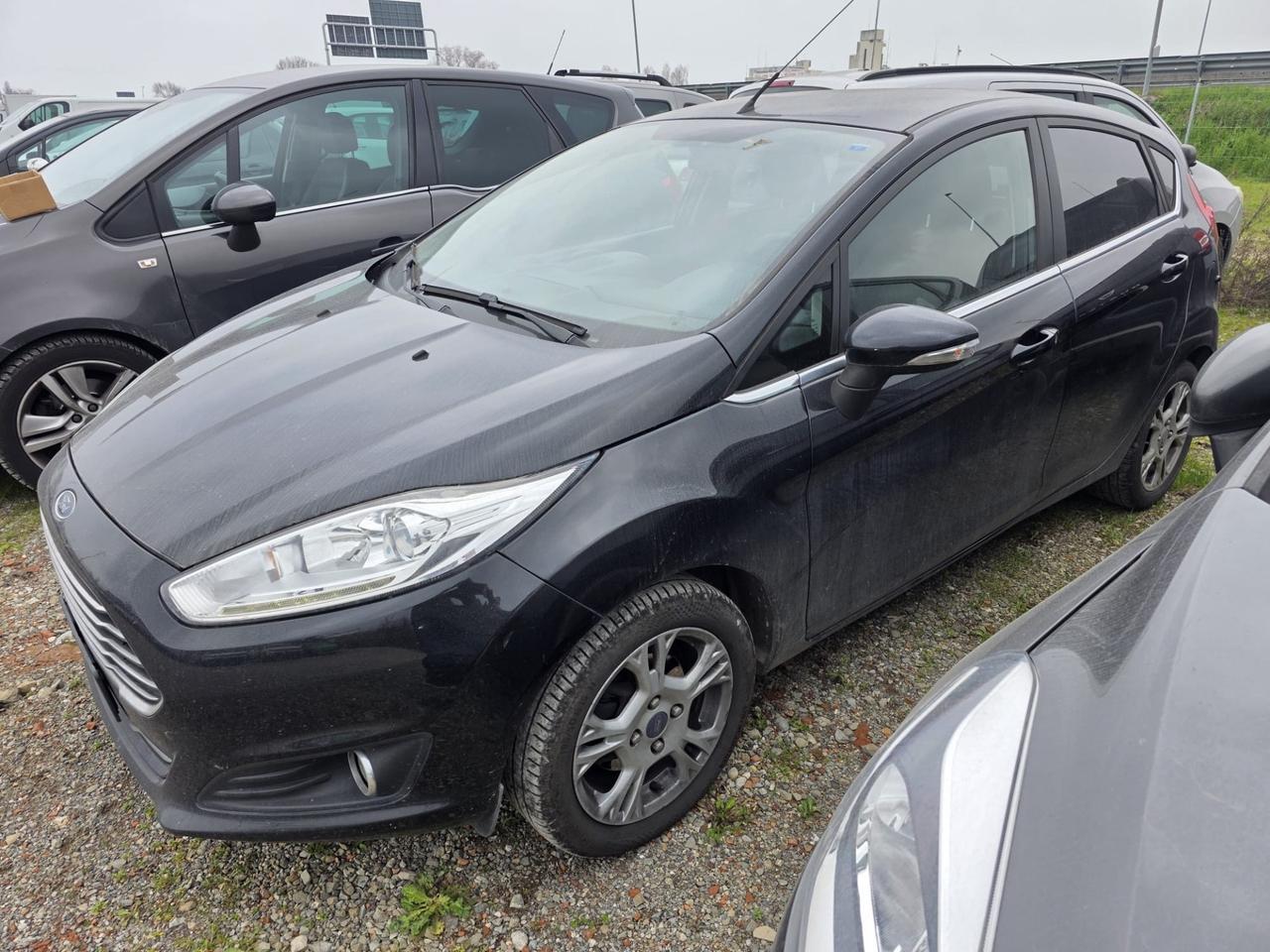 Ford Fiesta 1.5 TDCi 75CV 5 porte Black & White Edition