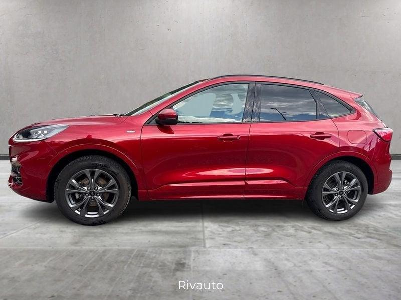 Ford Kuga Kuga 2.5 full hybrid ST-Line X AWD 190cv cvt