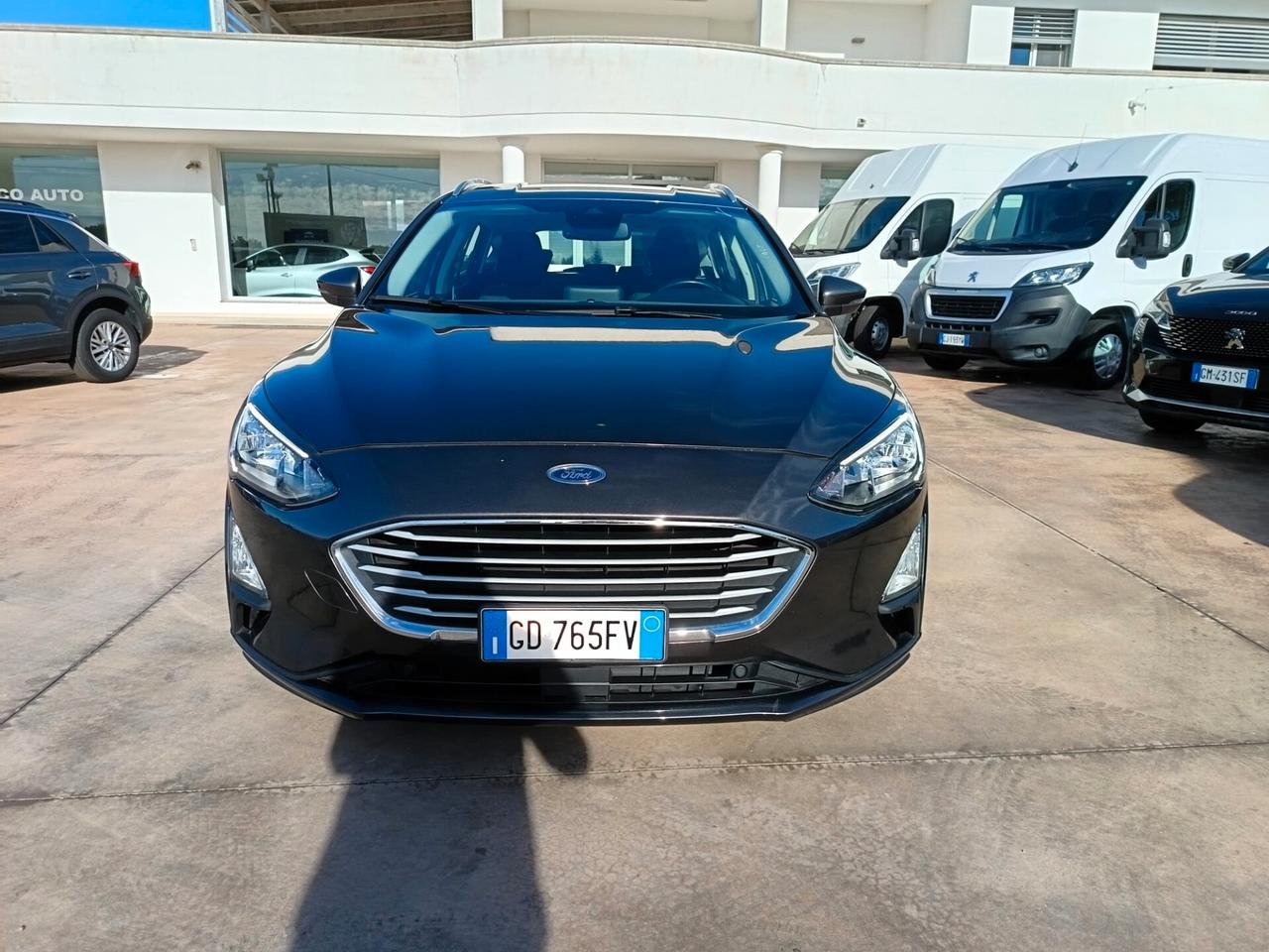 Ford Focus 1.5 EcoBlue 120 CV automatico SW Business Co-Pilot