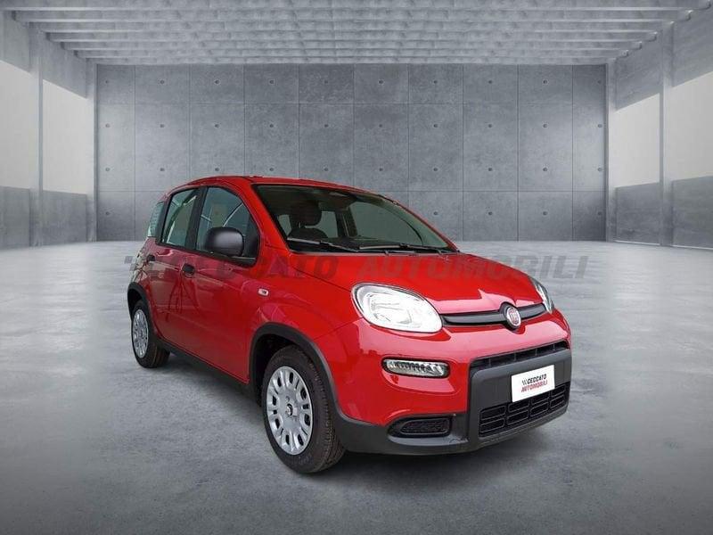 FIAT Panda 1.0 70cv Hybrid Panda