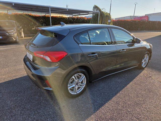 FORD Focus 1.5 EcoBlue 120 CV 5p. Business