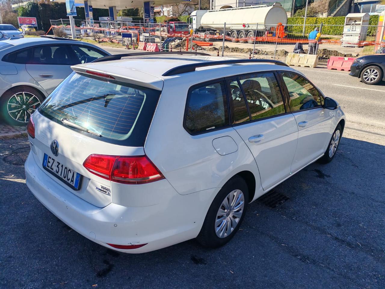 Volkswagen Golf Variant 1.6 TDI 110 CV Comfortline BlueMotion